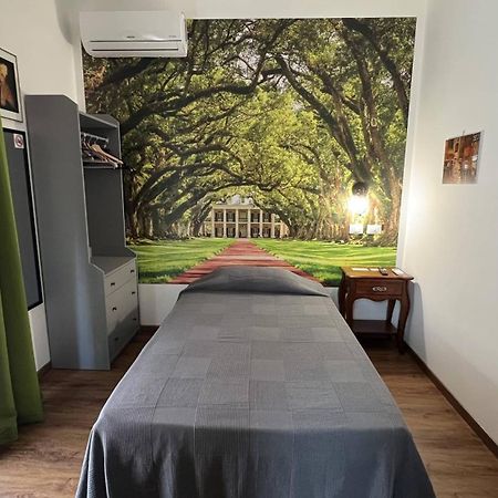 Guest House Le Vagabonde ฟิวมิชีโน ภายนอก รูปภาพ